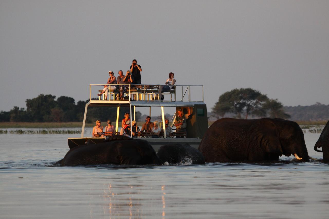 Chobe River Camp Ngoma ภายนอก รูปภาพ