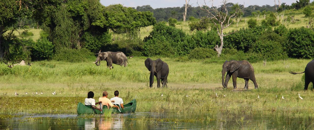 Chobe River Camp Ngoma ภายนอก รูปภาพ